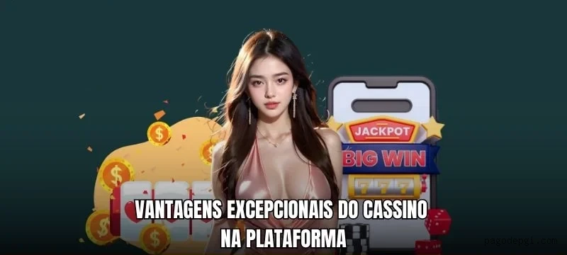 Controles de paJogonto e BRL em Pagodepg